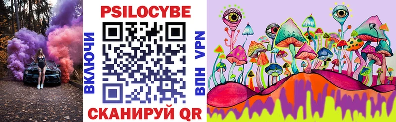 дарнет шоп Кимры Псилоцибиновые грибы мухоморы